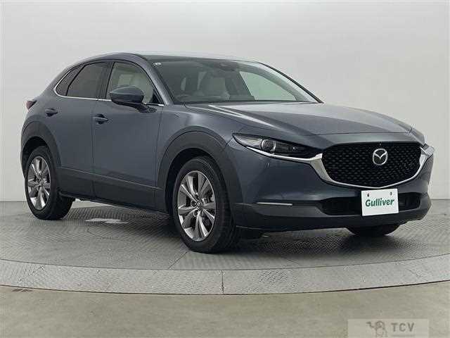 2019 Mazda CX-3