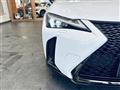2020 Lexus UX