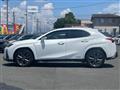 2020 Lexus UX