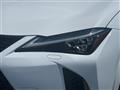 2020 Lexus UX