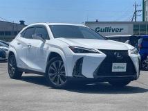 2020 Lexus UX