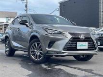 2021 Lexus NX