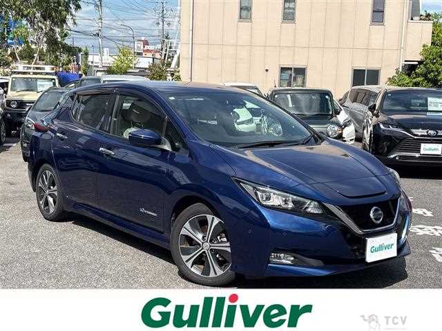 2018 Nissan Leaf