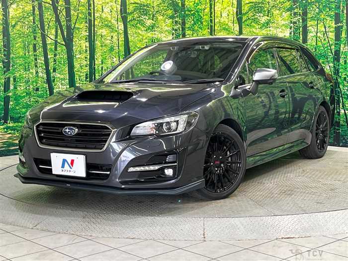 2018 Subaru Levorg