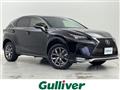 2015 Lexus NX