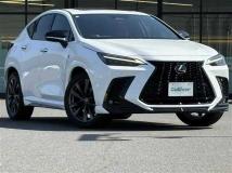 2022 Lexus NX