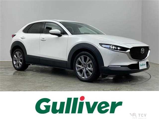 2021 Mazda CX-3