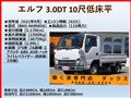 2009 Isuzu Isuzu Others
