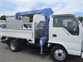2009 Isuzu Isuzu Others