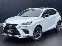 2021 Lexus NX