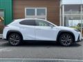 2019 Lexus UX
