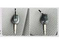 2020 Other All Other All