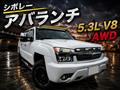 2009 GM Chevrolet Others