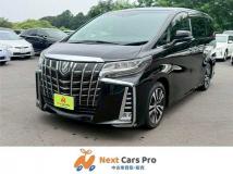 2018 Toyota Alphard G