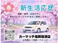 2013 Suzuki Every