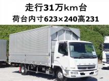 2009 Mitsubishi Fighter