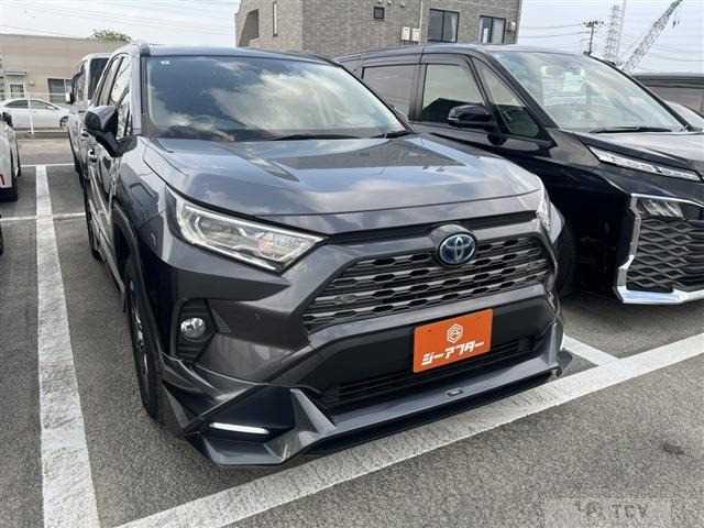 2019 Toyota RAV4