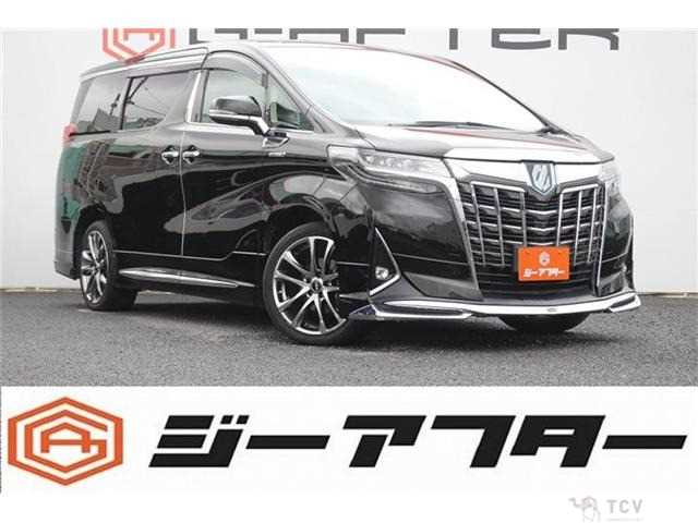 2020 Toyota Alphard G