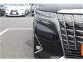 2020 Toyota Alphard G