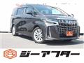 2020 Toyota Alphard G