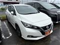 2019 Nissan Nissan Others