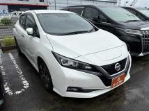 2019 Nissan Nissan Others