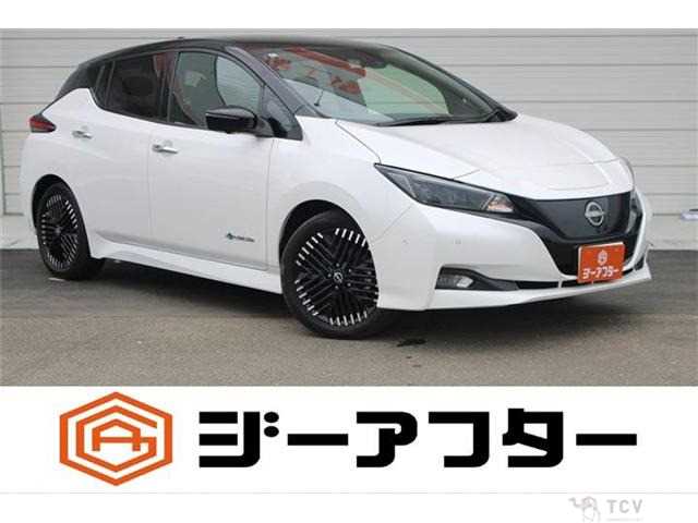 2022 Nissan Nissan Others