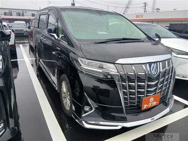2019 Toyota Alphard G