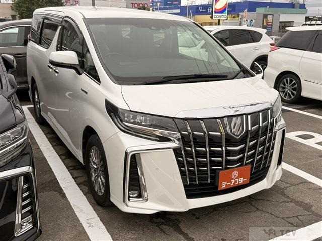 2019 Toyota Alphard G