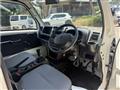 2017 Suzuki Carry Truck