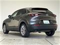 2019 Mazda CX-3