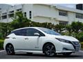 2017 Nissan Nissan Others