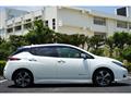 2017 Nissan Nissan Others