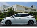 2017 Nissan Nissan Others
