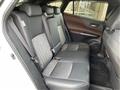 2024 Toyota Harrier
