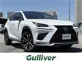 2019 Lexus NX