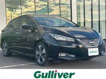 2019 Nissan Leaf
