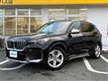2023 BMW X1