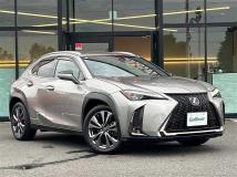 2019 Lexus UX