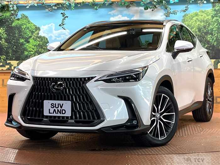 2023 Lexus NX
