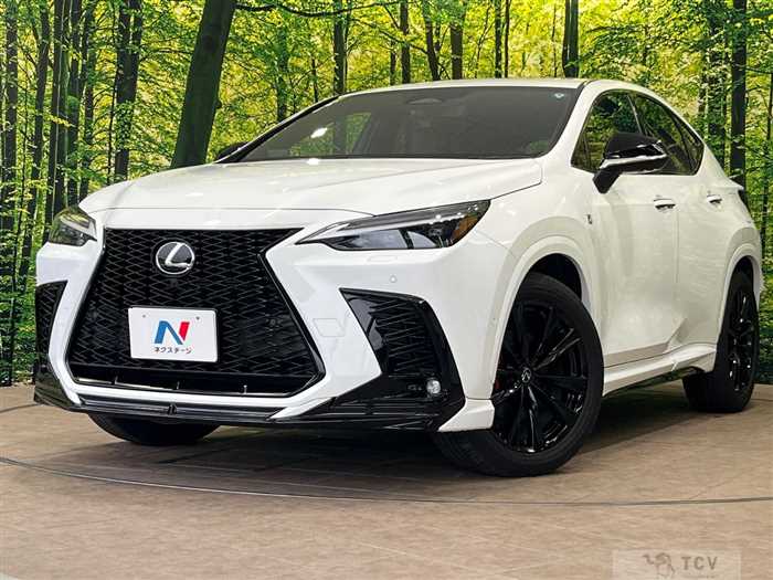 2024 Lexus NX
