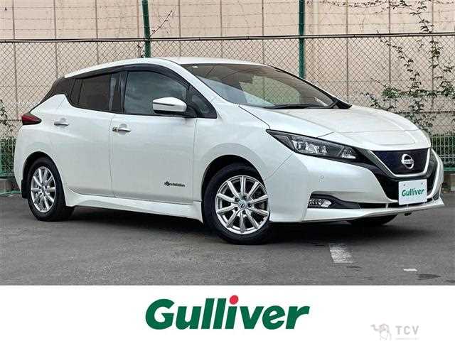 2018 Nissan Leaf