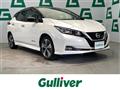 2019 Nissan Leaf