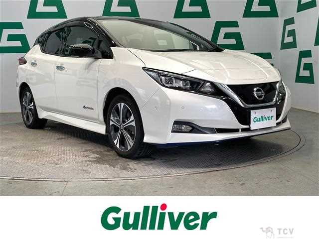 2019 Nissan Leaf