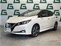 2019 Nissan Leaf