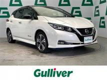 2019 Nissan Leaf