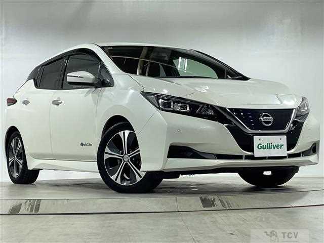 2018 Nissan Leaf