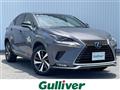 2021 Lexus NX