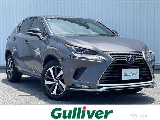 2021 Lexus NX