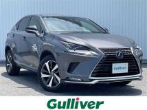 2021 Lexus NX